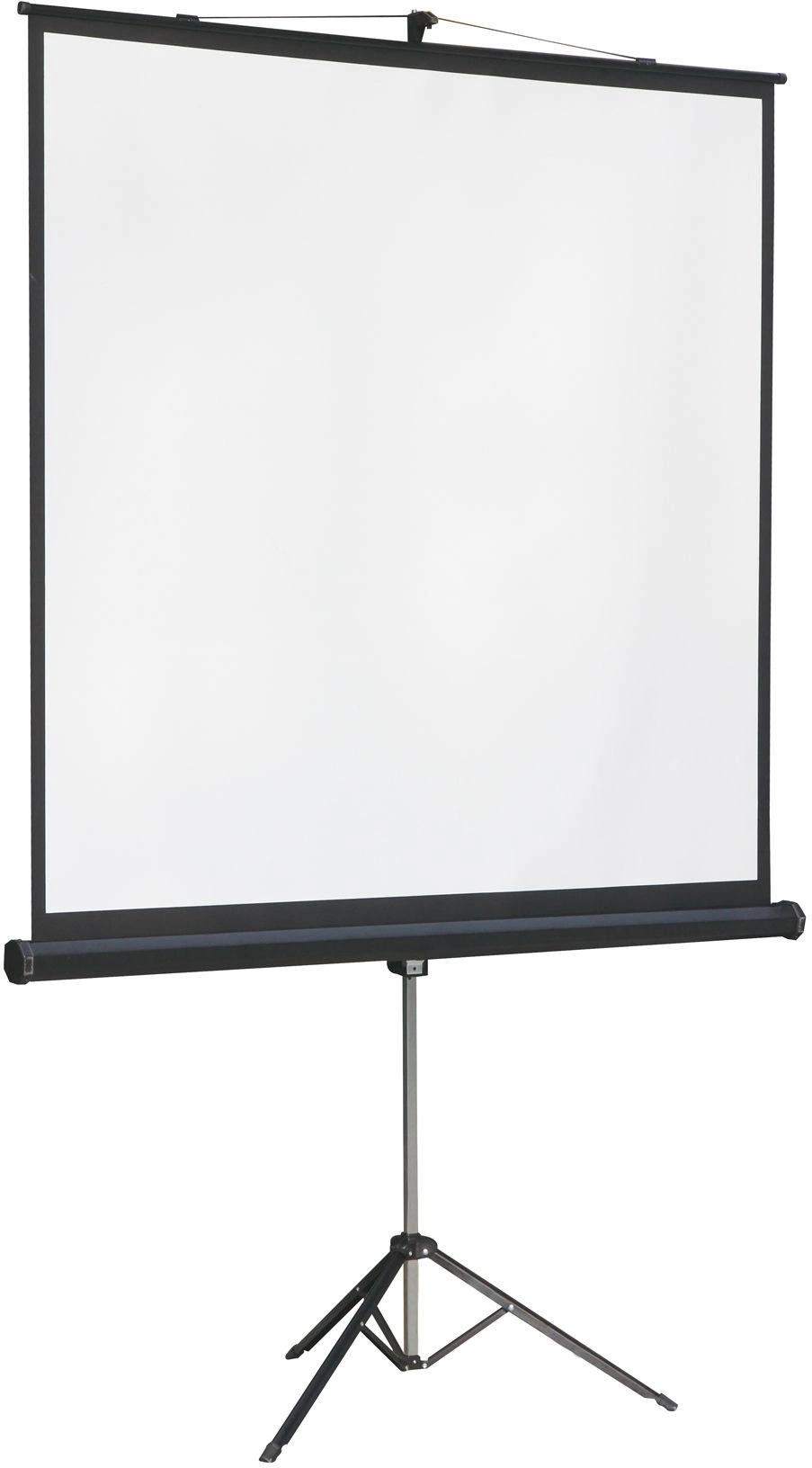 Проекционный экран Lumien Master View (LMV-100105)