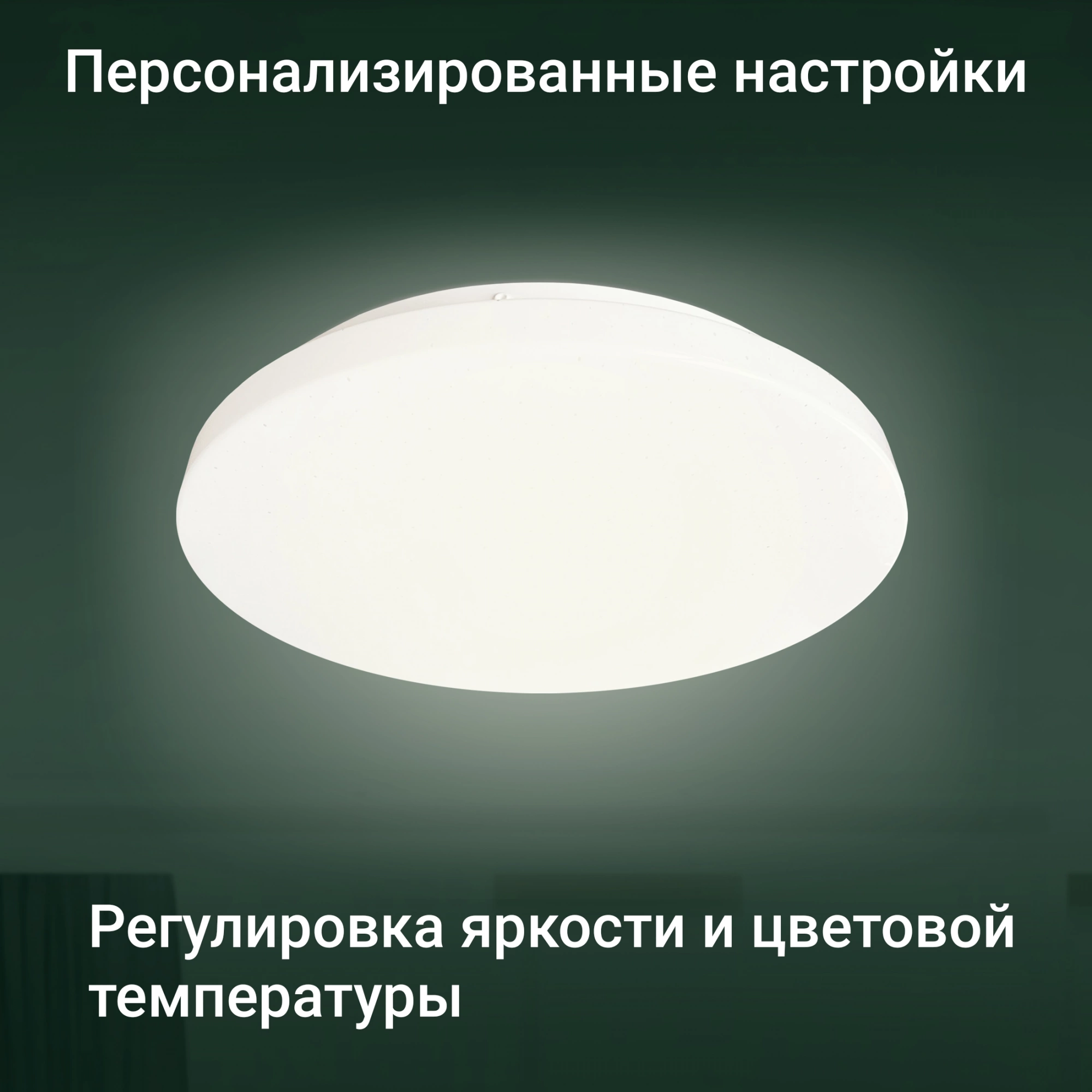 Потолочный светильник Digma TopLight TL25 белый
