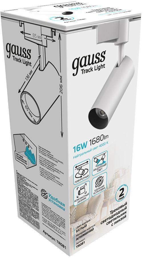 Трековый светильник Gauss TR081