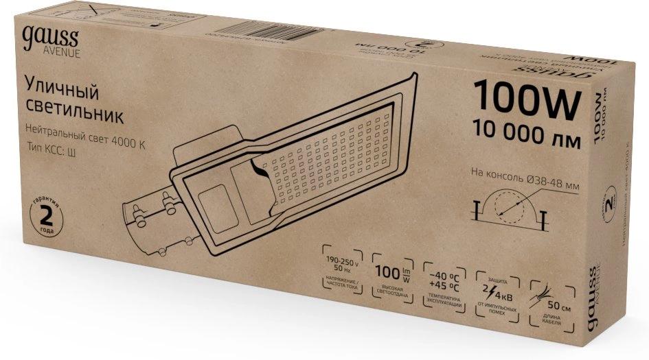 Уличный светильник Gauss Avenue черный/серый (629534200)