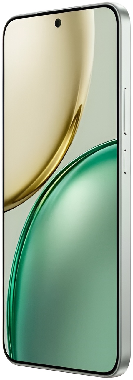 Смартфон Honor X9d 12GB/256GB MTN-NX1 Forest Green (5109BYPV)