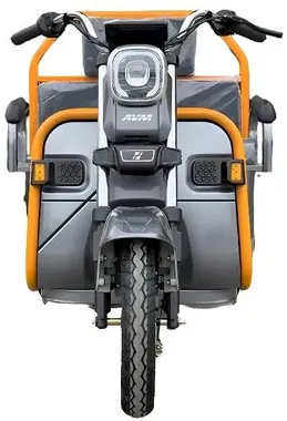 Электротрицикл грузовой AVM Cargo mini 800