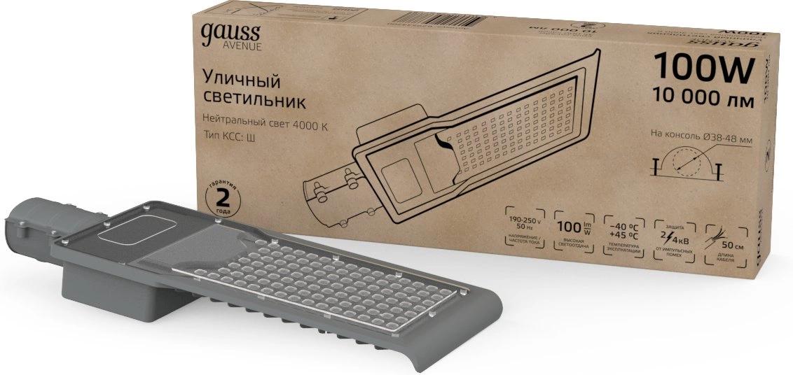 Уличный светильник Gauss Avenue черный/серый (629534200)