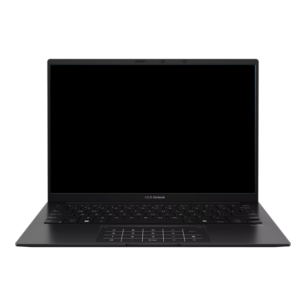 Ноутбук Asus Zenbook 14 UM3406GA-QD009 Black (90NB17R1-M00650)