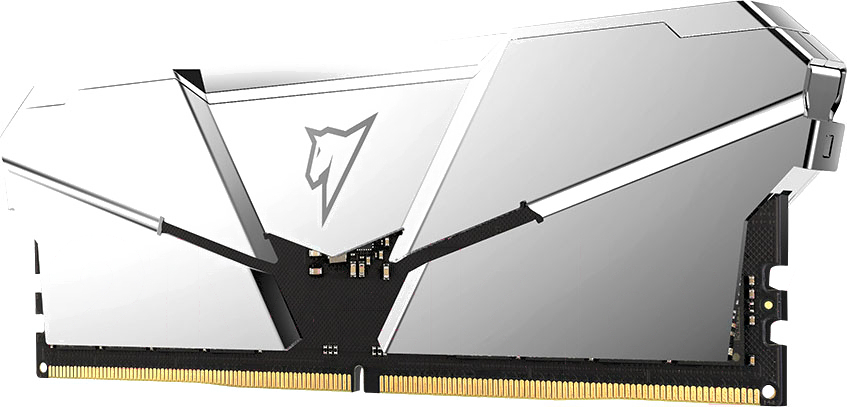 Оперативная память Netac Shadow RGB XMP Silver 32GB DDR5 (NTSRD5P56DP-32S)