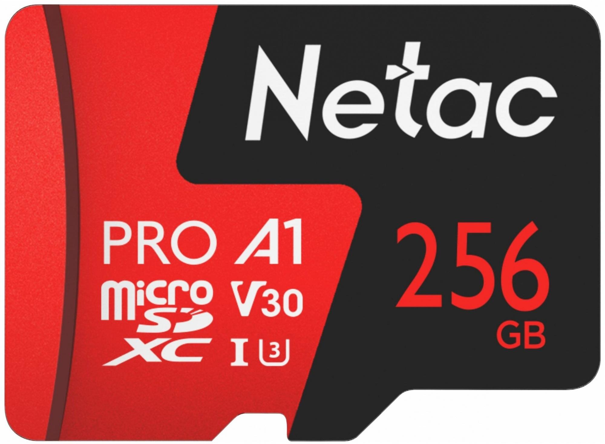 Карта памяти Netac NT02P500PRO-256G-S