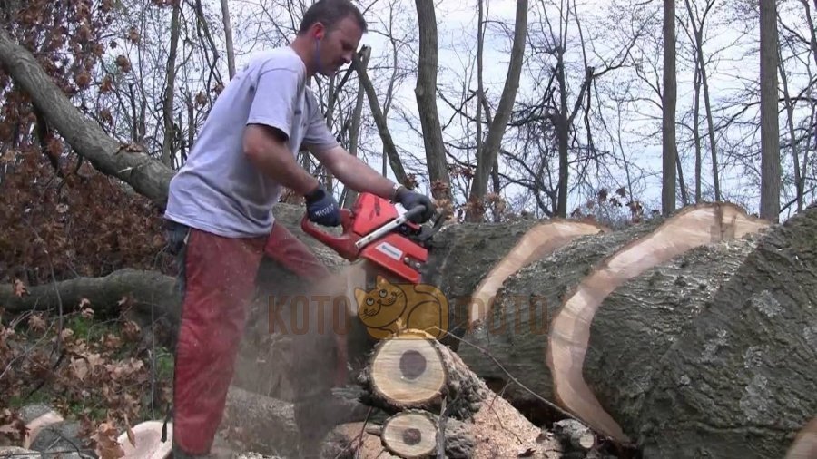 Бензопила цепная Husqvarna 372XP (9657029-18)