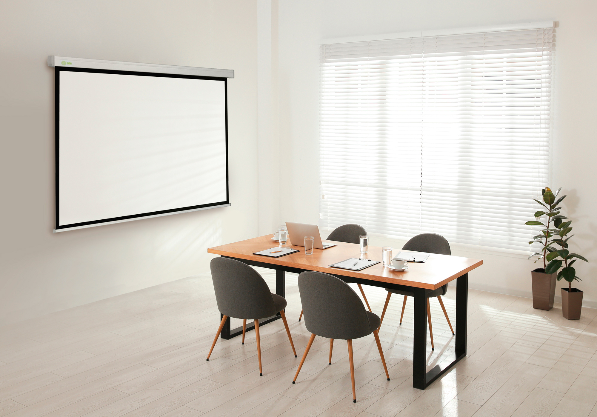 Проекционный экран Cactus CS-PSW-206x274 белый