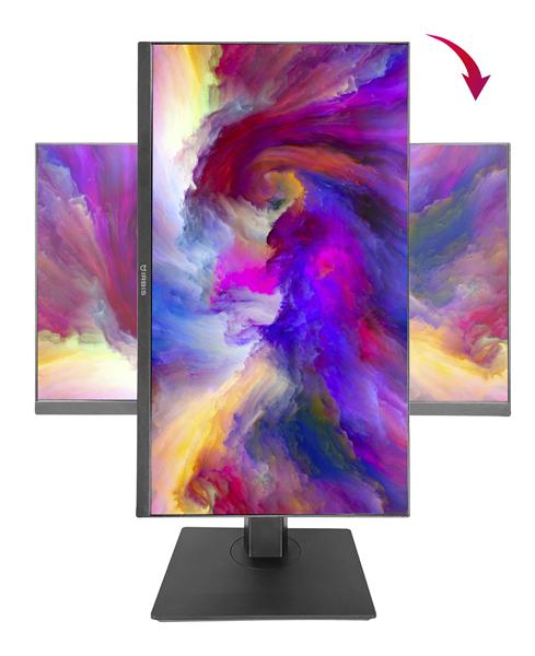 Монитор Irbis SmartView ISM24FIDW