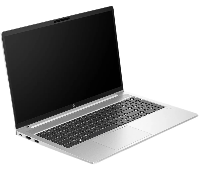 Ноутбук HP ProBook 450 G10 Silver (71H61AV)