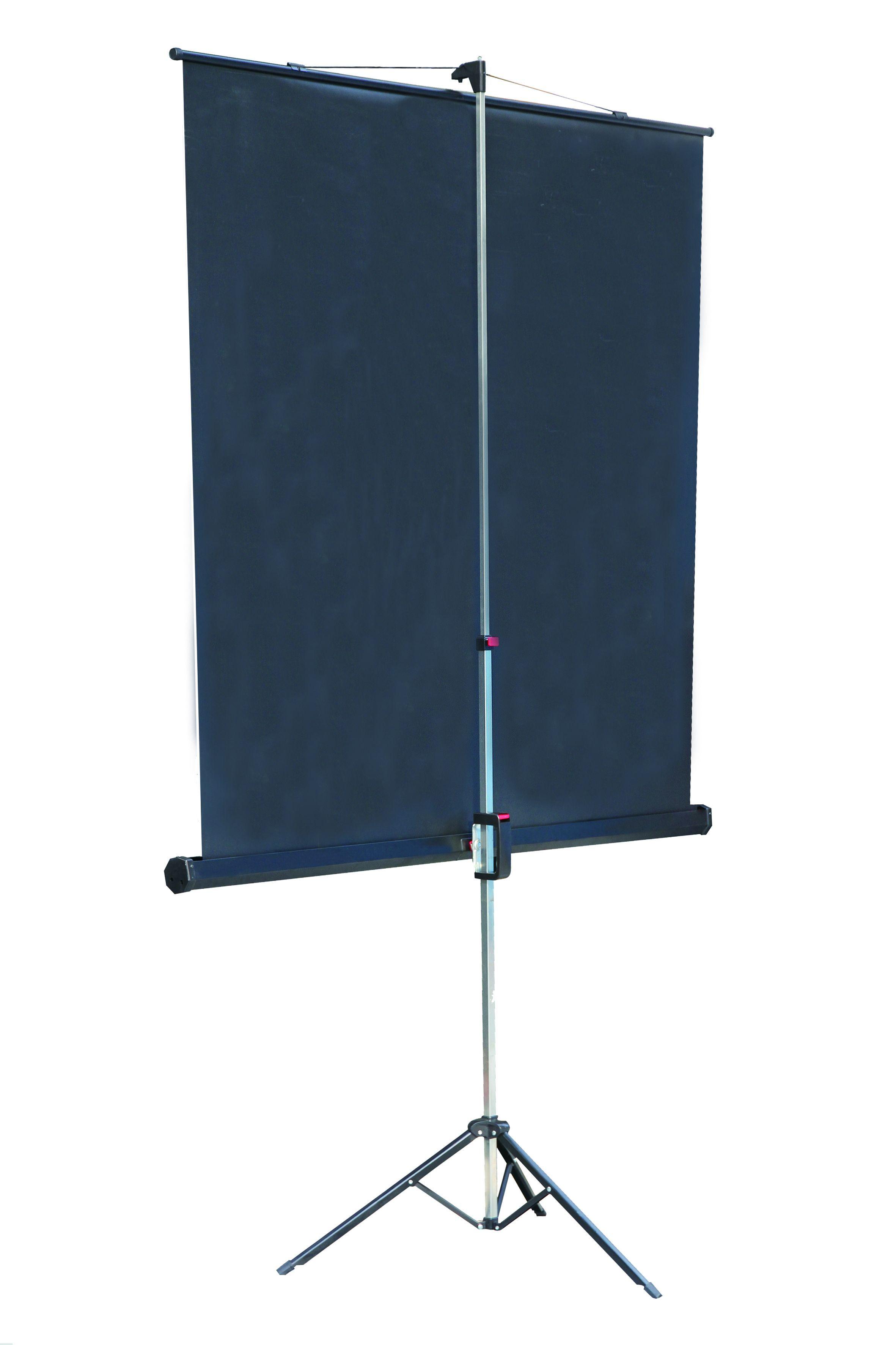 Проекционный экран Lumien Master View (LMV-100108)