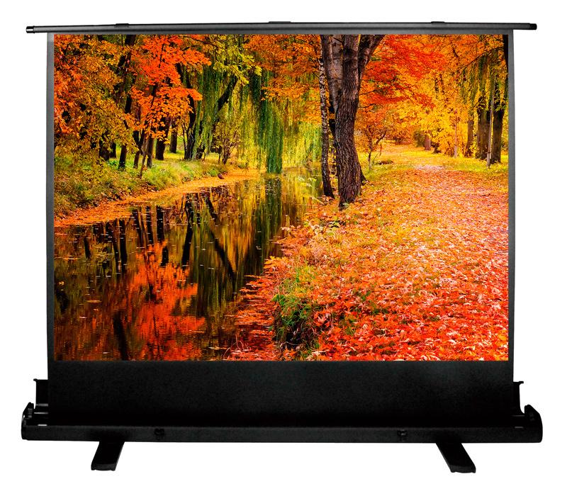 Проекционный экран Cactus FloorExpert (CS-PSFLE-200X150)