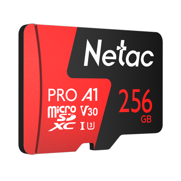 Карта памяти Netac NT02P500PRO-256G-S