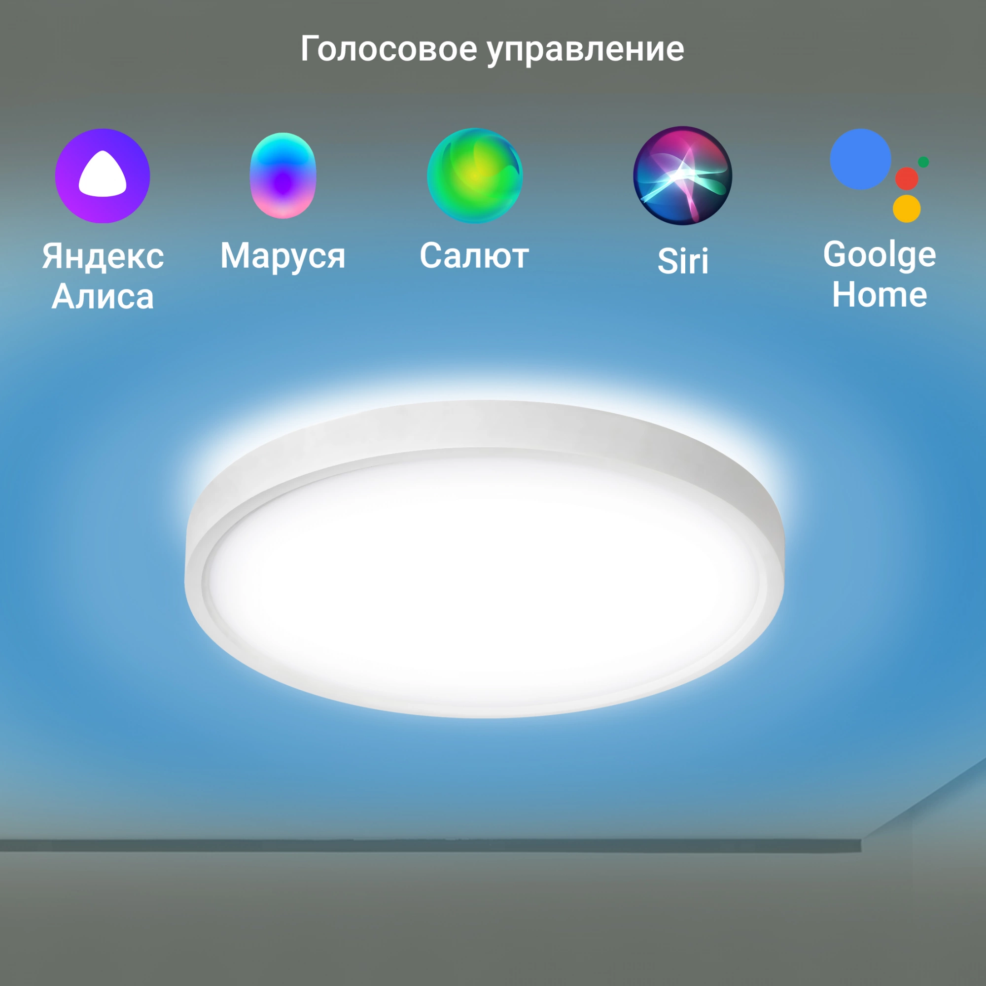 Потолочный светильник Digma TopLight TL40 белый