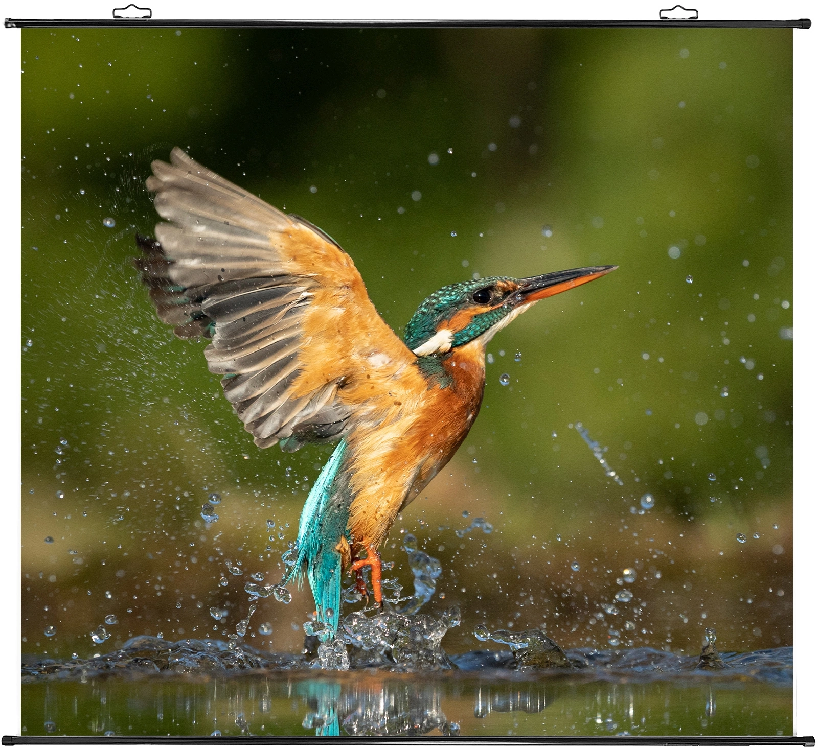 Проекционный экран Cactus CS-PSRM-150x150-BK черный