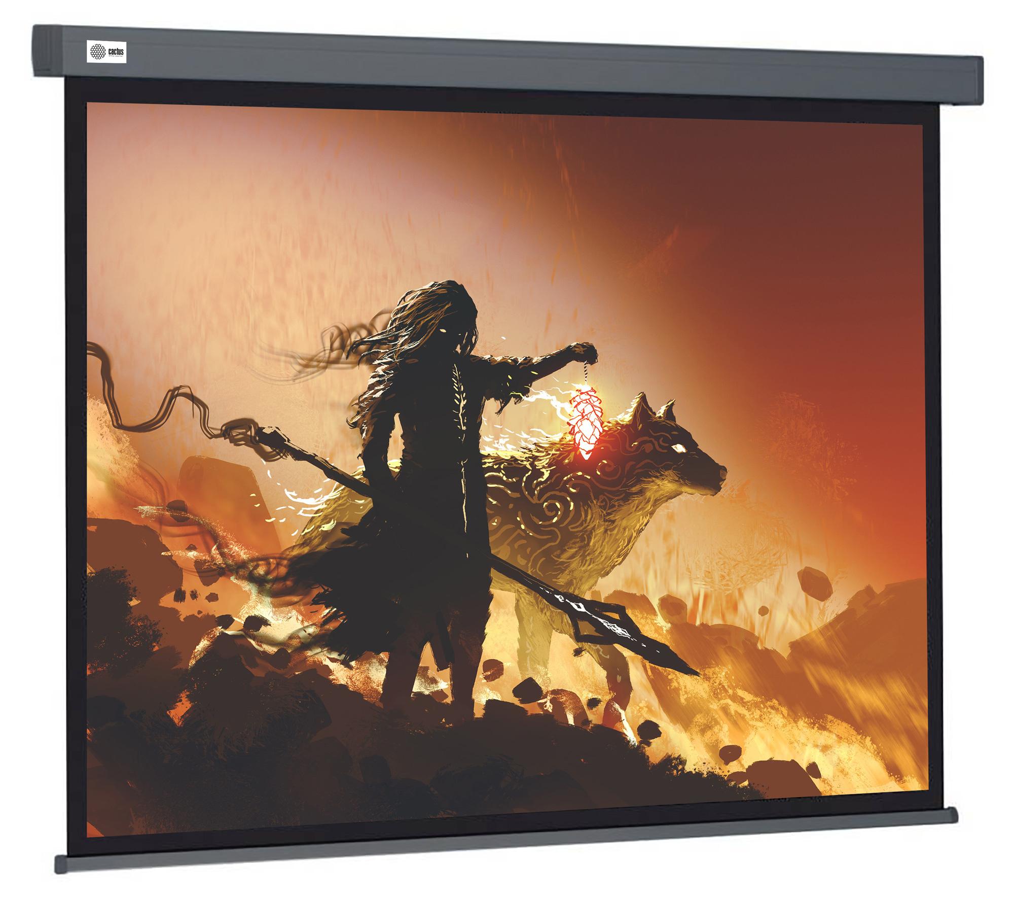 Проекционный экран Cactus CS-PSW-213X213-SG серый матовый