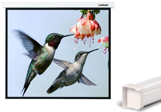Проекционный экран Lumien Master Control Matt White (LMC-100113)
