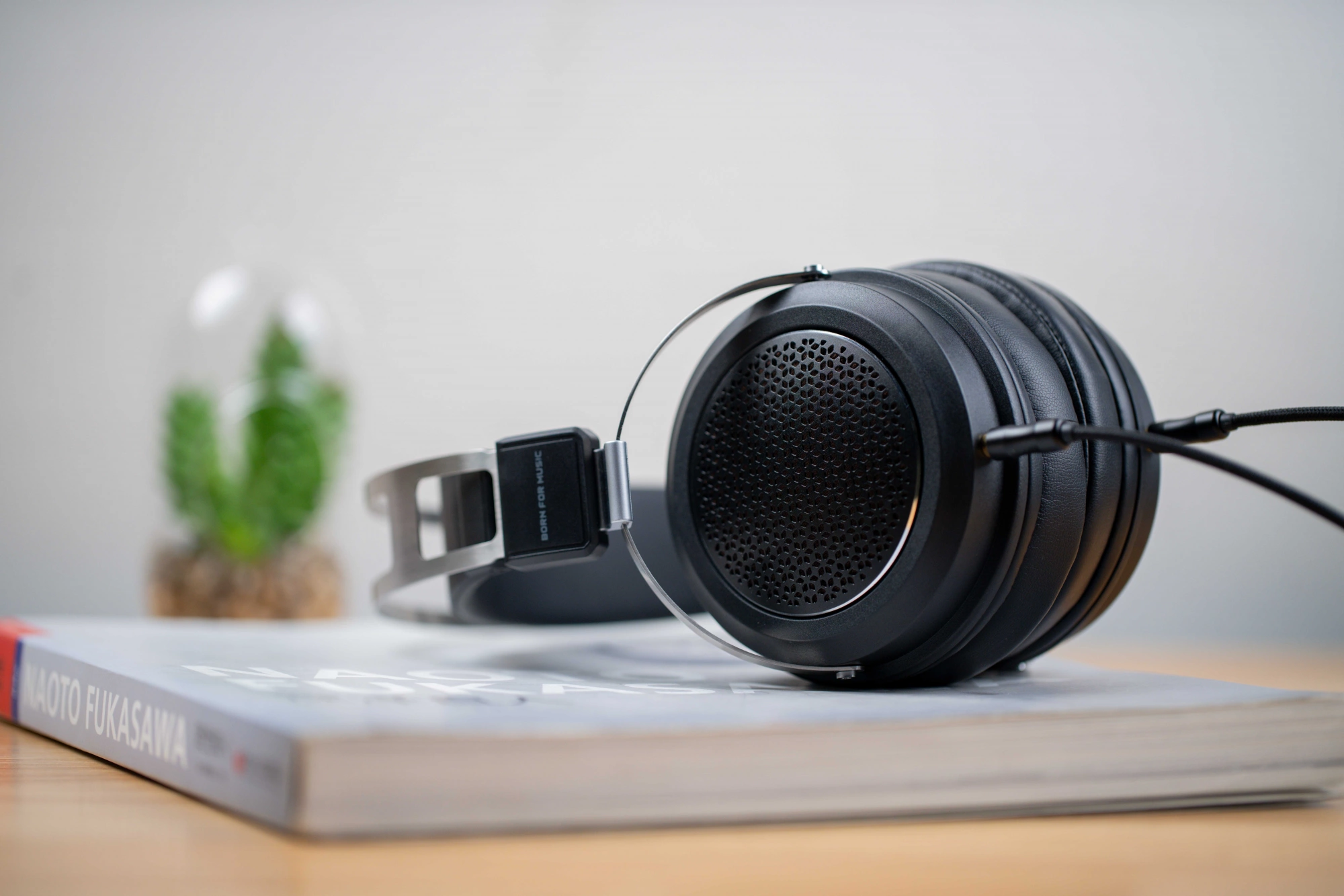 Наушники Fiio JT1 черный (80003498)