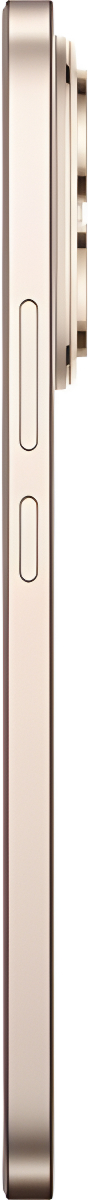 Смартфон Honor 400 12GB/512GB DNY-NX9 Desert Gold (5109BURL)