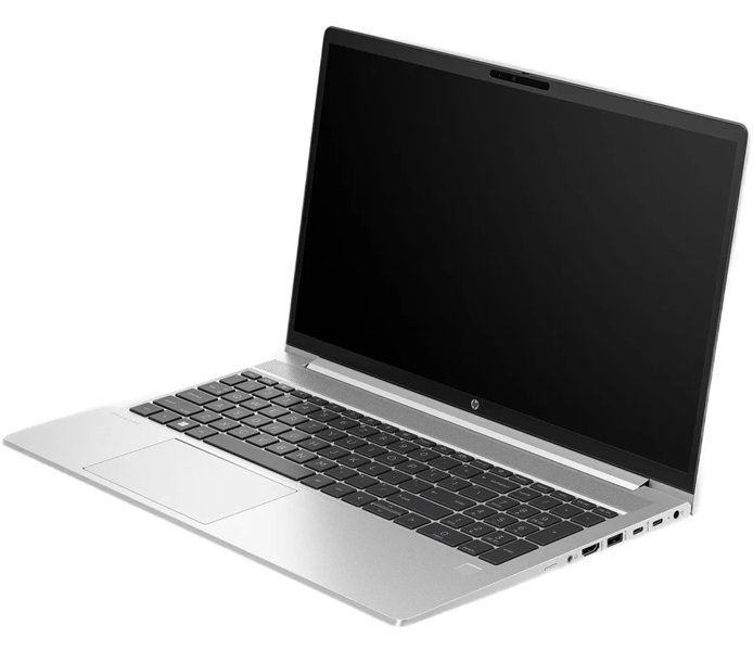 Ноутбук HP ProBook 450 G10 Silver (71H61AV)