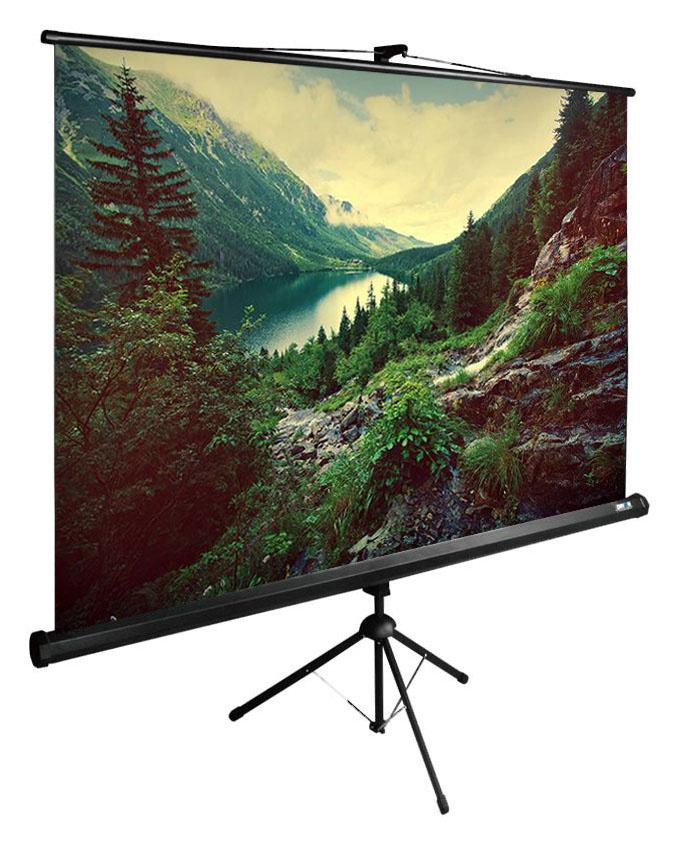 Проекционный экран Cactus TriExpert черный (CS-PSTE-220X220-BK)