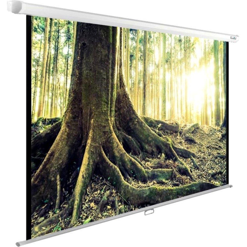 Проекционный экран Cactus WallExpert (CS-PSWE-220x220-WT)