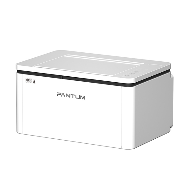 Принтер Pantum BP2300W