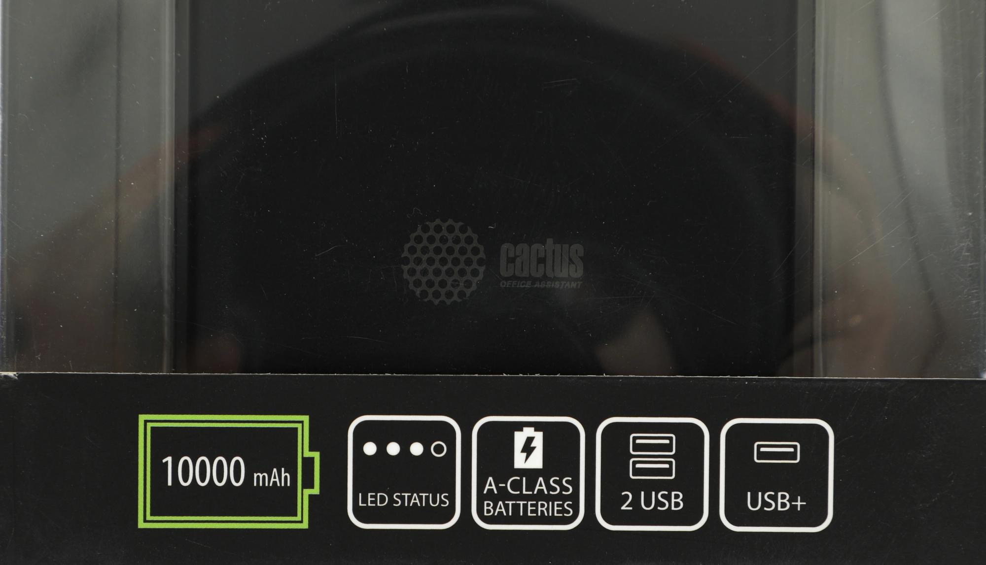 Портативное зарядное устройство Cactus CS-PBFSFT-10000 черный