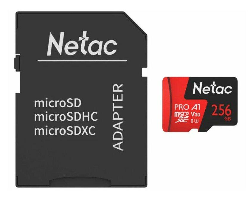 Карта памяти Netac NT02P500PRO-256G-R