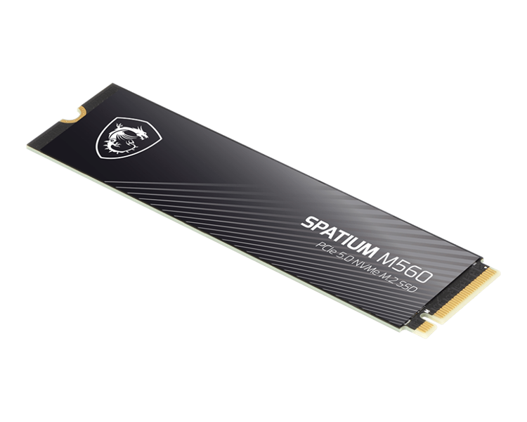 SSD диск MSI Spatium M560 2Tb (S78-440Q940-P83)