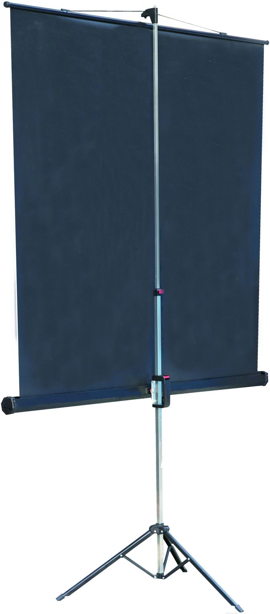 Проекционный экран Lumien Master View (LMV-100105)