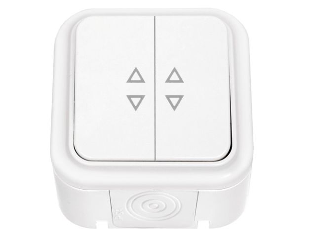 Выключатель 2 клав. (открытый, 10А, брызг. защ.) белый, Пралеска Аква, BYLECTRICA (IP54 пылебрызгозащищенные)