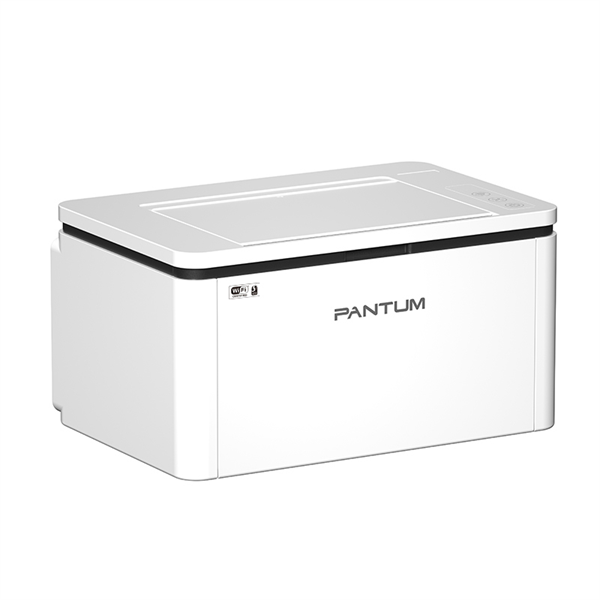 Принтер Pantum BP2300W