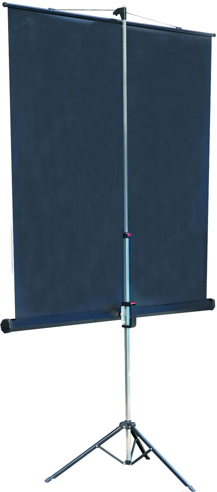 Проекционный экран Lumien Master View (LMV-100106)