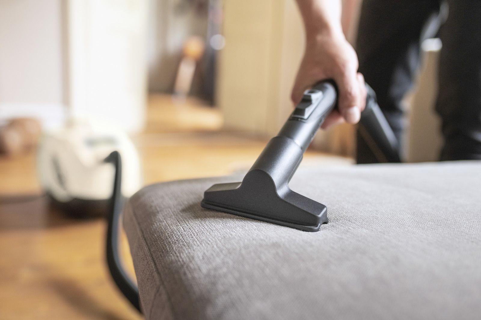 Пылесос Karcher DS 6 Plus белый/черный (1.195-252.0)