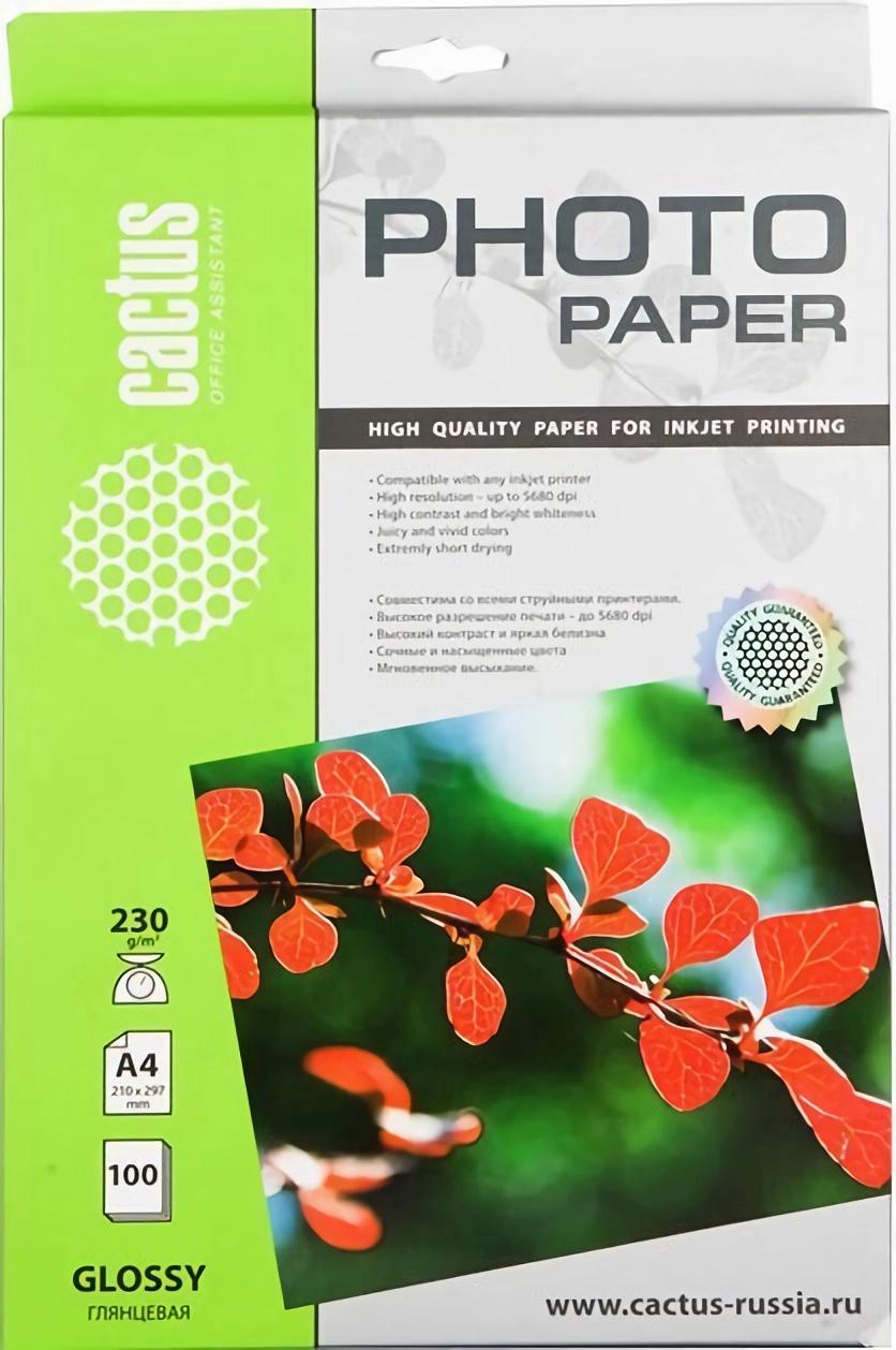 Фотобумага Cactus CS-GA4230100