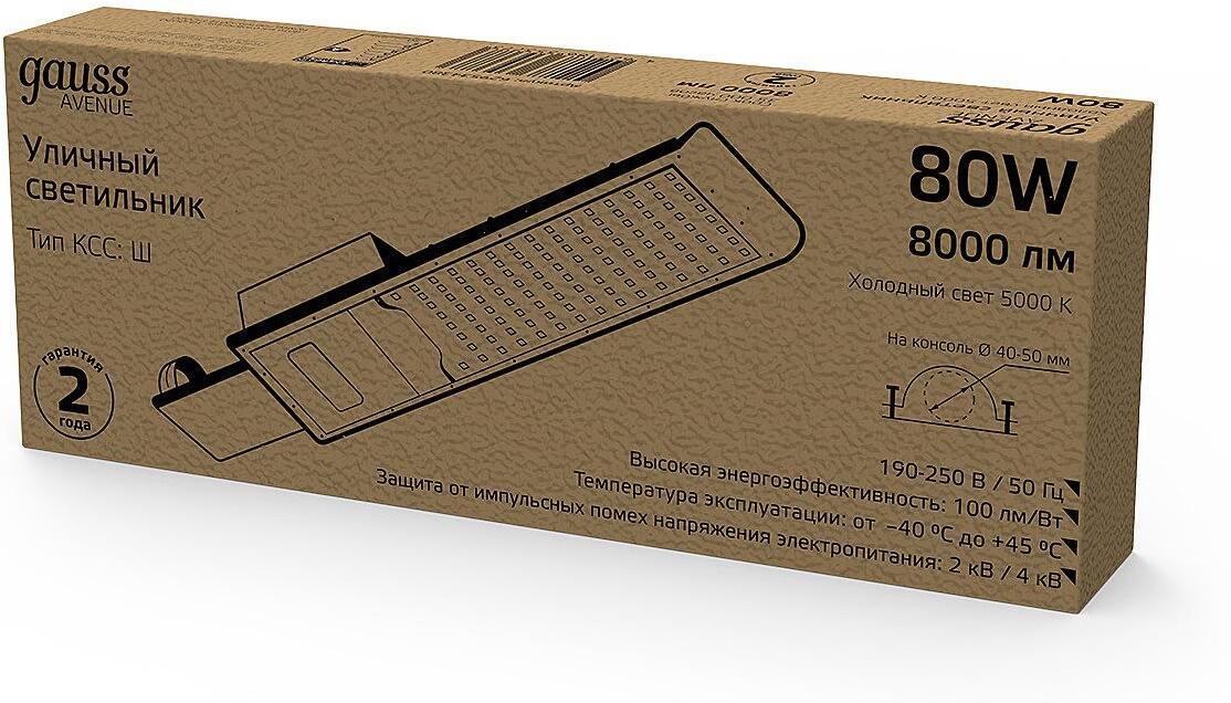 Уличный светильник GAUSS 629534380 черный