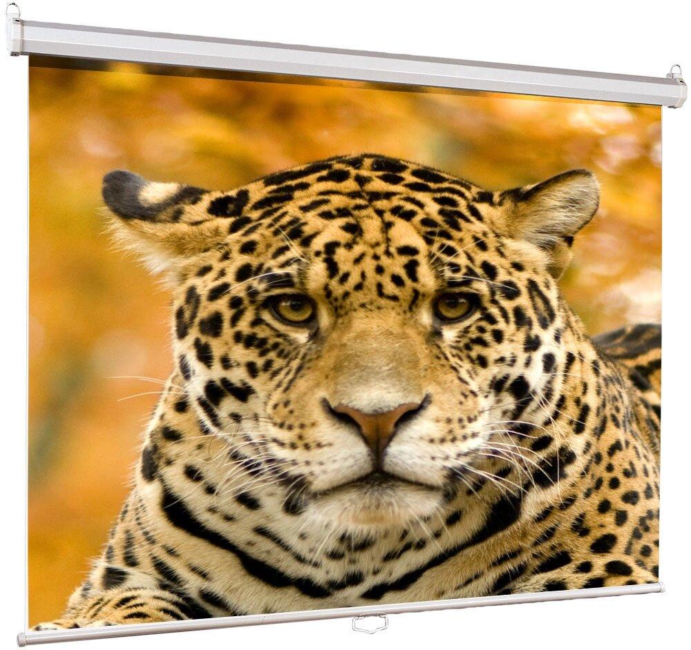Проекционный экран Lumien Eco Picture (LEP-100102)