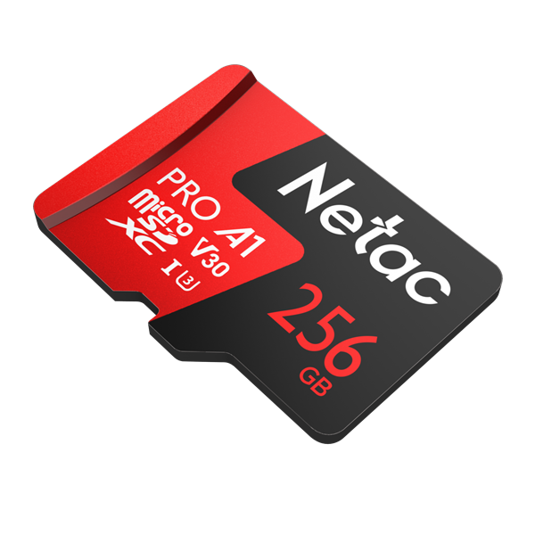 Карта памяти Netac NT02P500PRO-256G-S