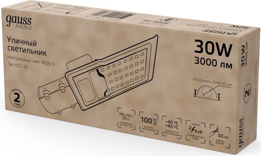 Уличный светильник Gauss Avenue черный/серый (629534230)