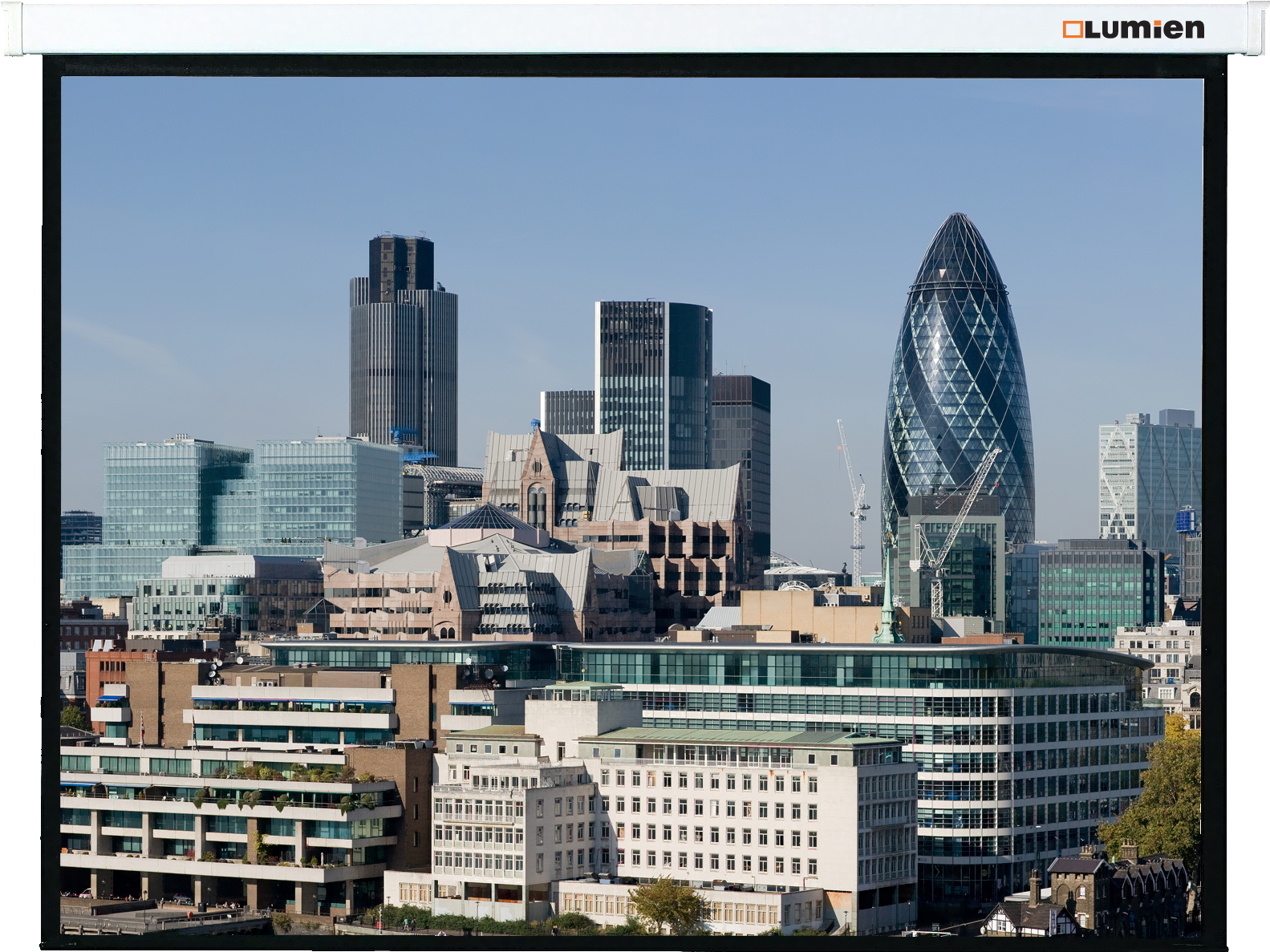 Проекционный экран Lumien Master Сontrol (LMC-100131