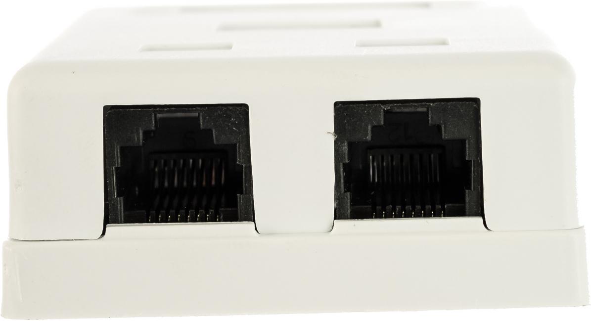 Розетка компьютерная TWT TWT-SM2-4545-WH (44631)