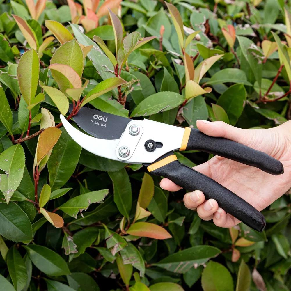 Секатор Deli DL580205