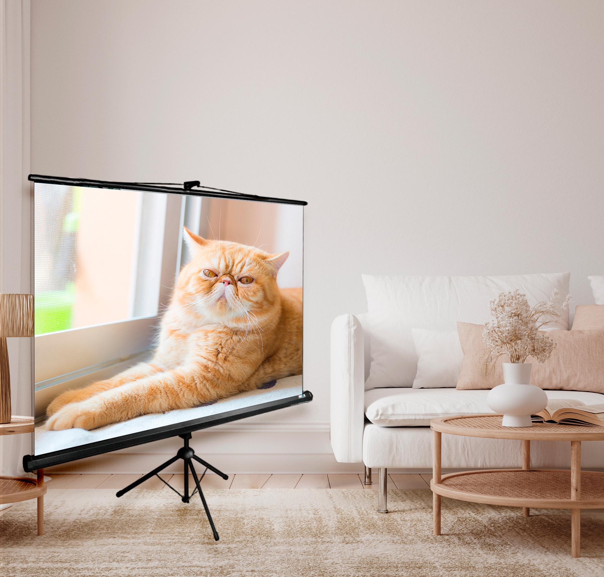 Проекционный экран Cactus CS-PST-127x127