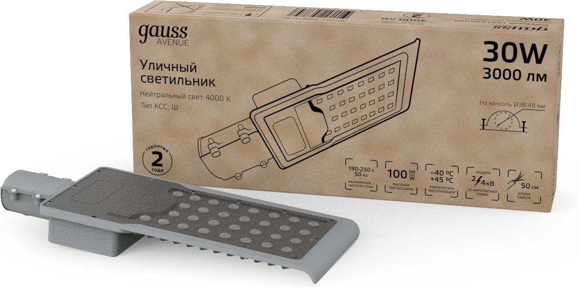 Уличный светильник Gauss Avenue черный/серый (629534230)