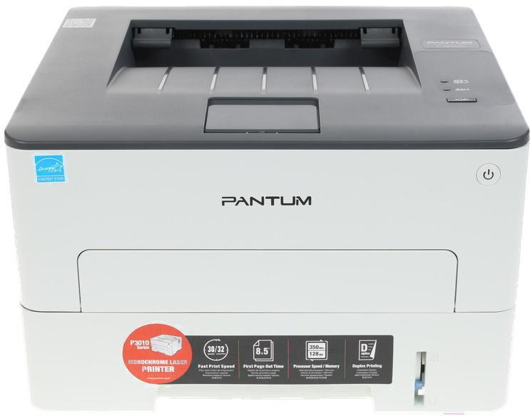 Принтер Pantum P3010D