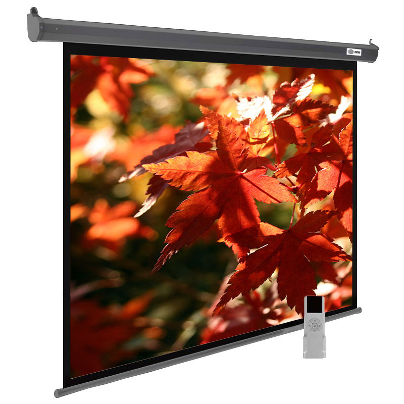Проекционный экран Cactus CS-PSSME-200X150-DG
