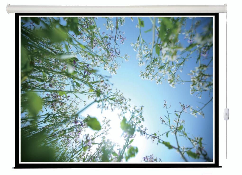 Проекционный экран Lumien Eco Control белый (LEC-100108)