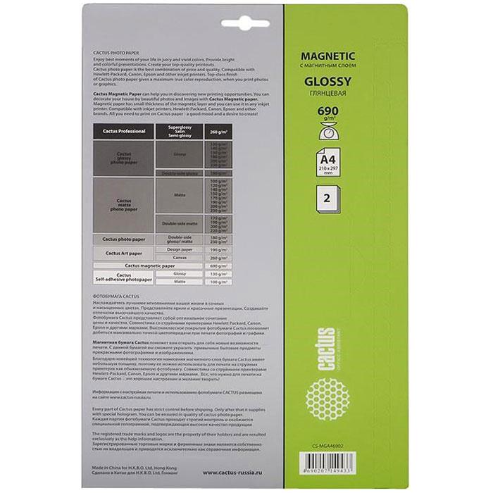 Фотобумага Cactus Глянцевая магнитная A4 690 г/кв.м. 2 листа CS-MGA46902