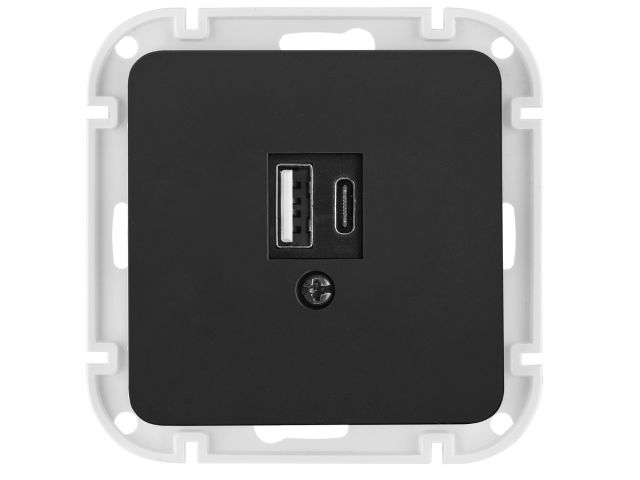 Розетка с двумя USB-разъемами (узел, скрытая) карбон, Astrum Bylectrica